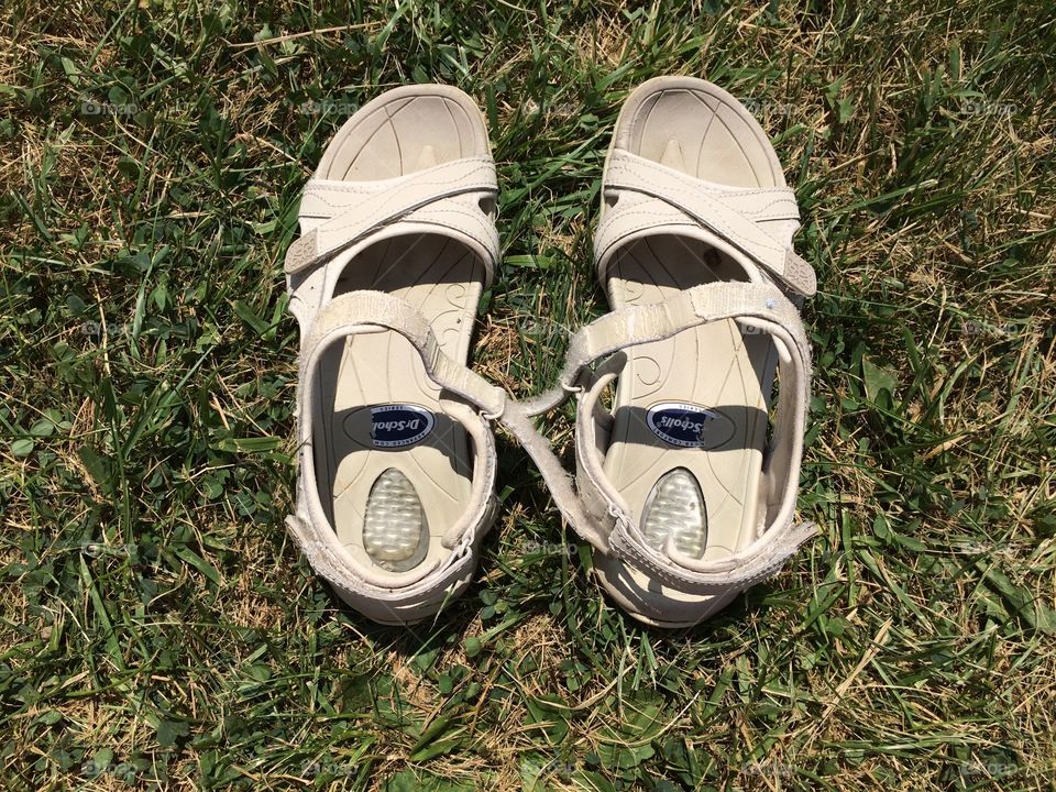 Sandals shoe 