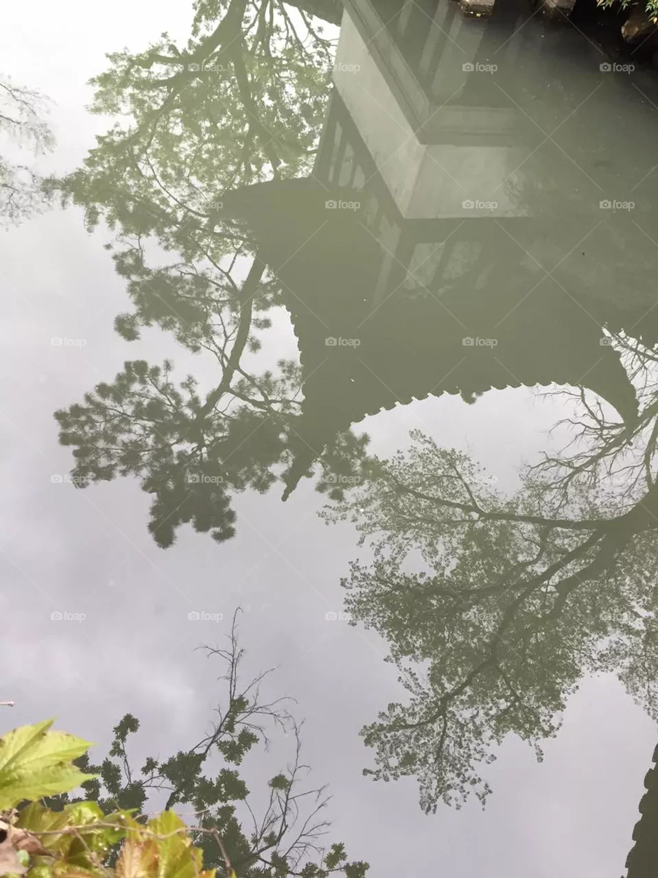 Water Reflection