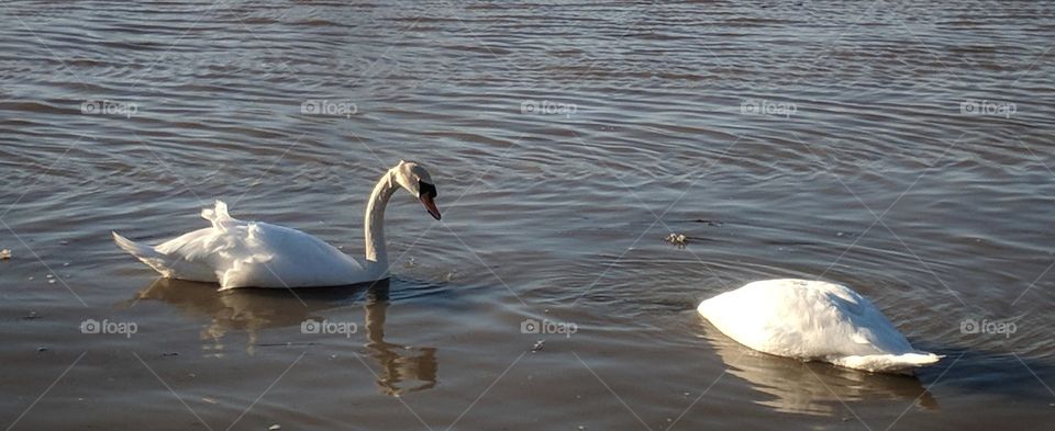 when the weather gets cold, brace yourself and duck for cover.