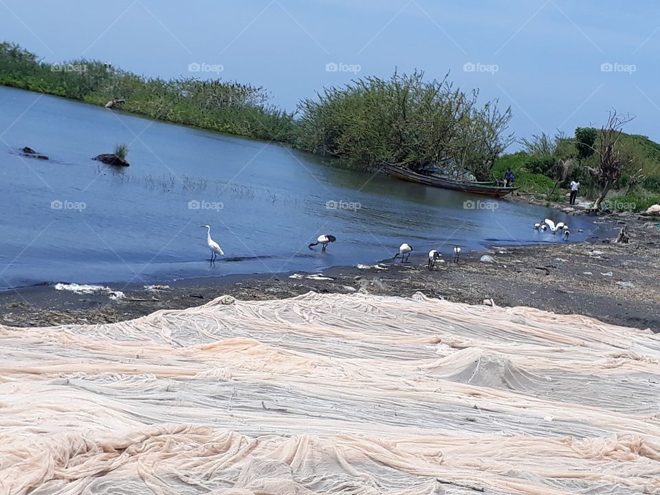 About to go fishing at Lake Victoria the 3rd Largest Fresh Water Lake in the World