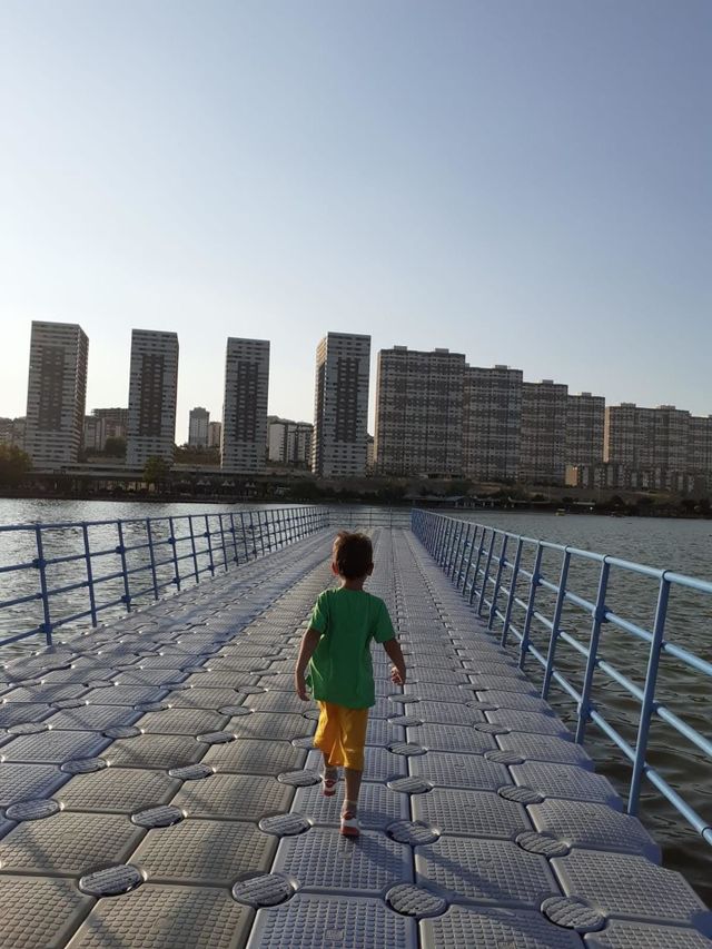 sea ​​view road