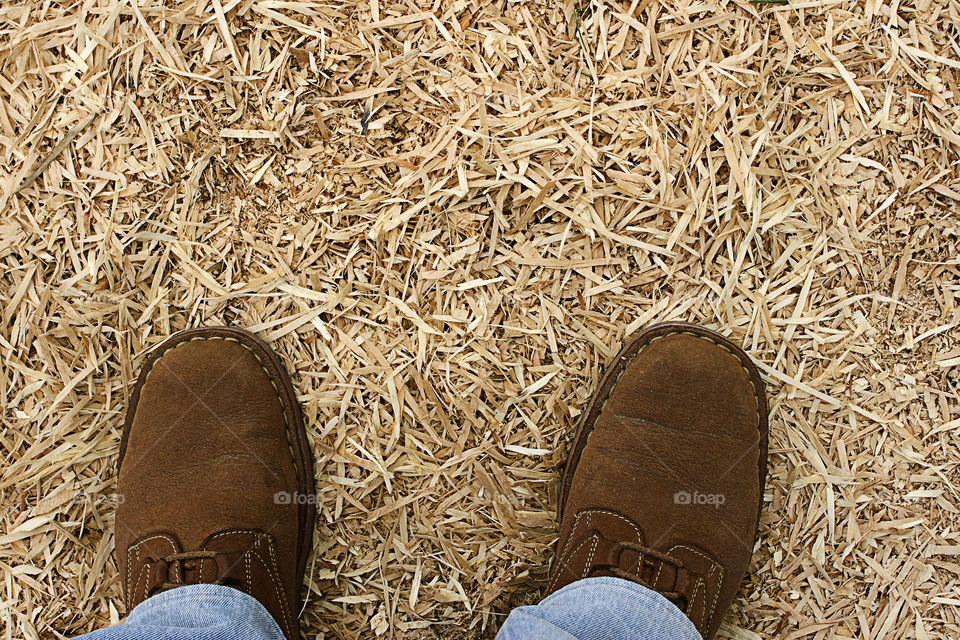 From where I stand ... shavings