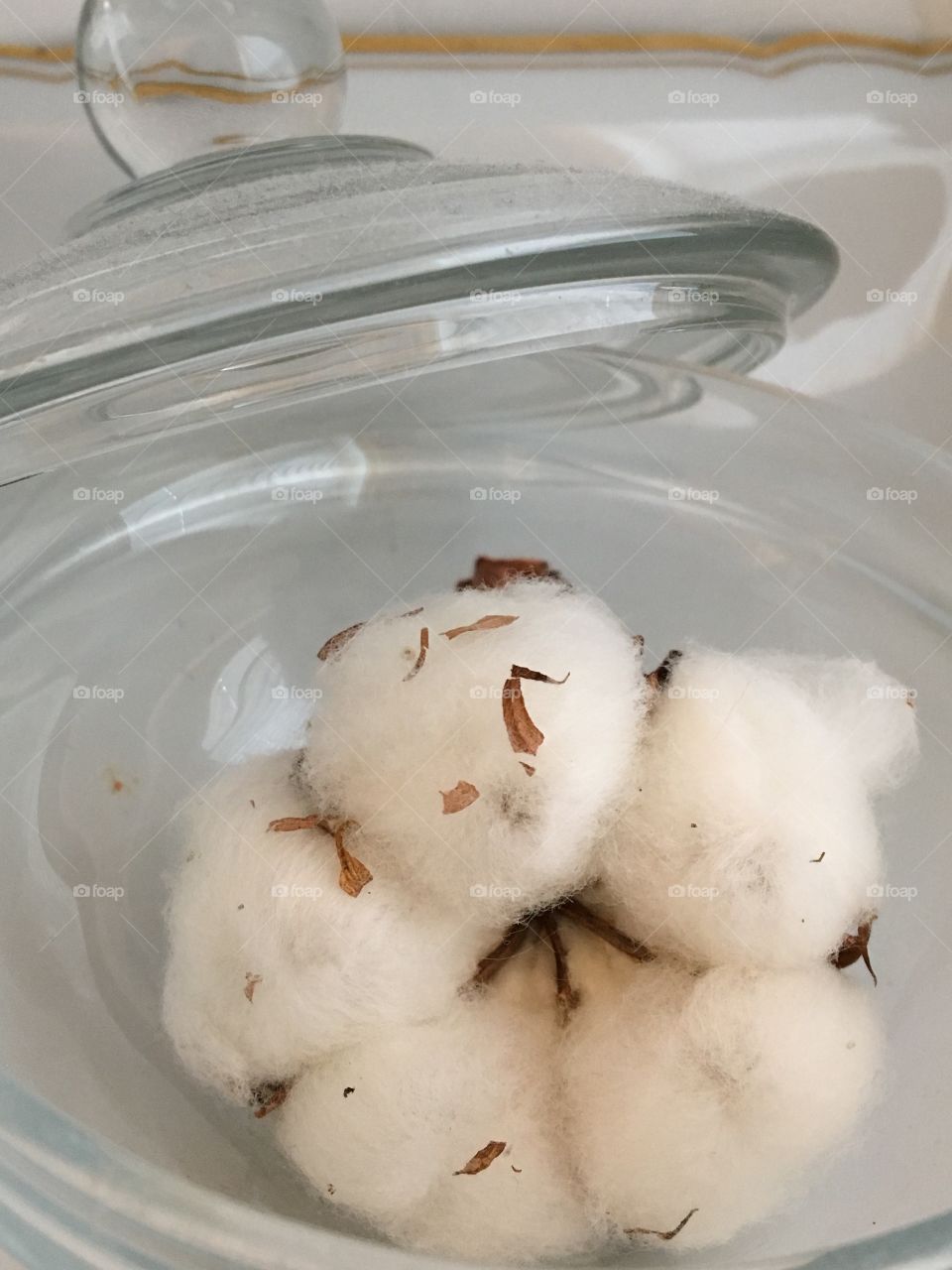 Natural Cotton 