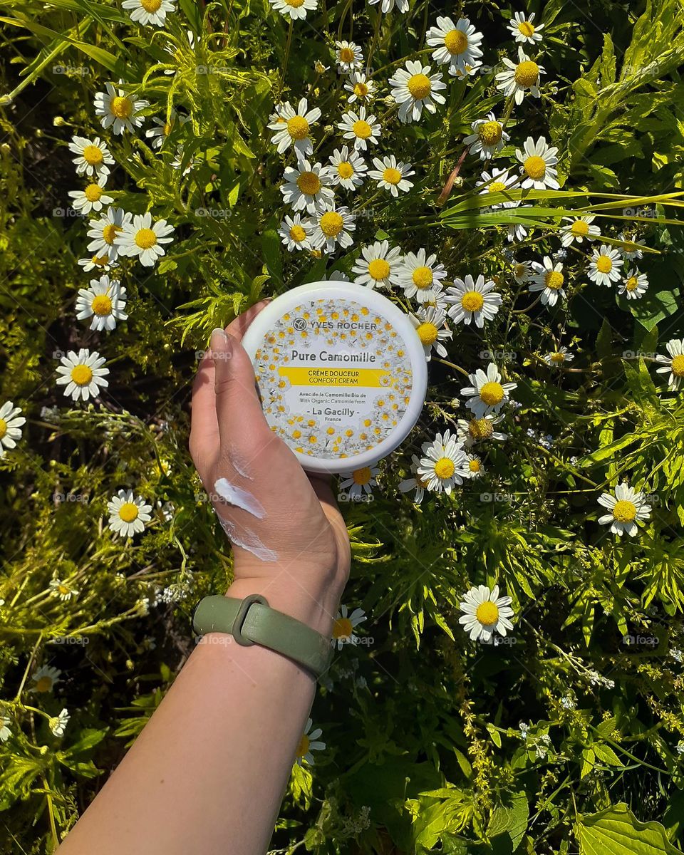 Natural cream among daisies