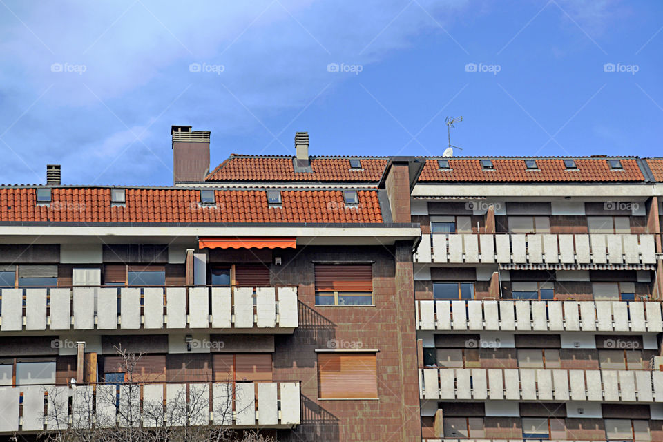 palaces and roofs