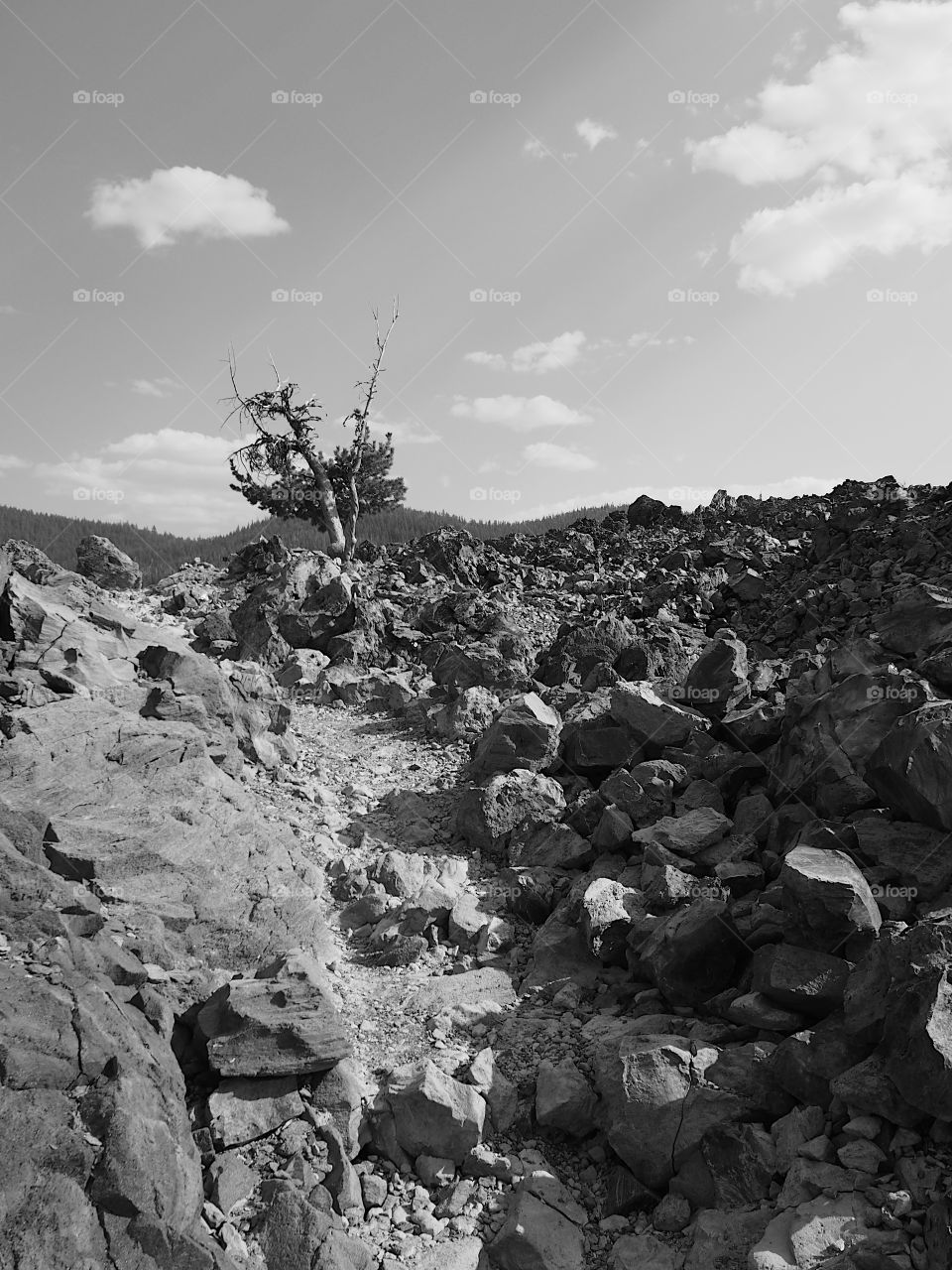 Rugged terrain of the Big Obsidian Flow 