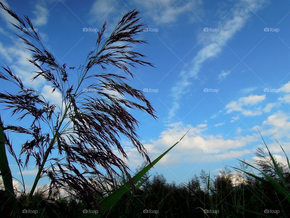 Sommer blauer Himmel