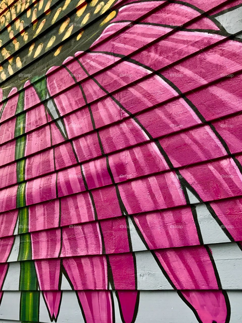 Pink Petals Painted on Building