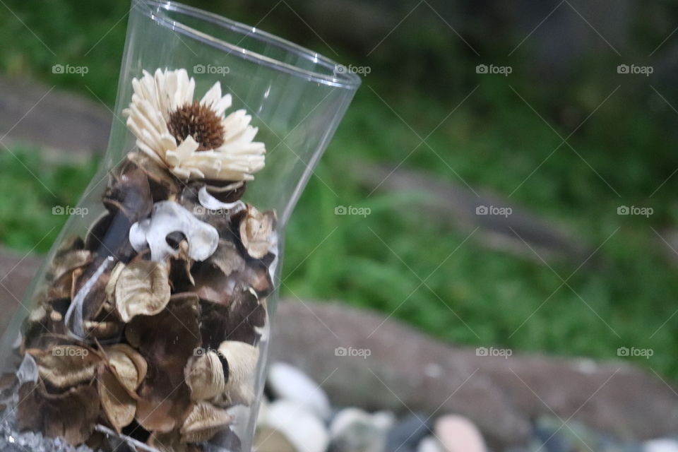 dried flower in the bottle