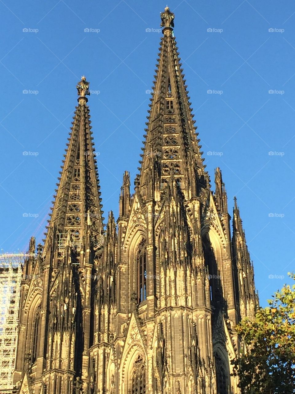Cologne Cathedrale