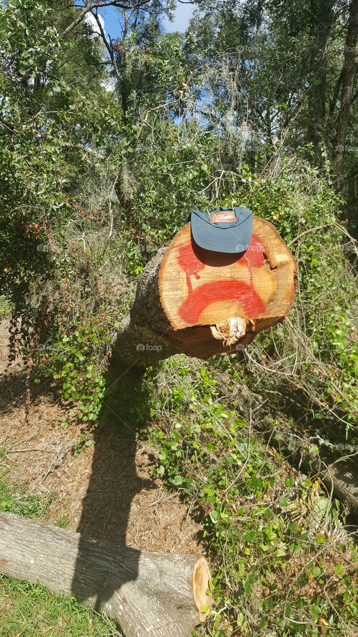 sad log