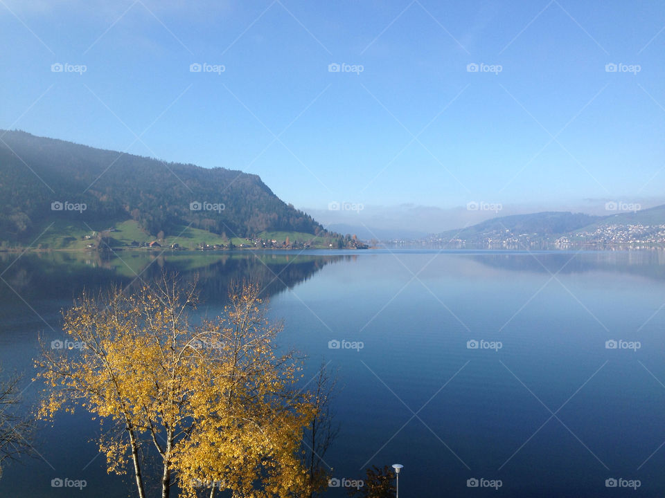 Scenic view of a lake