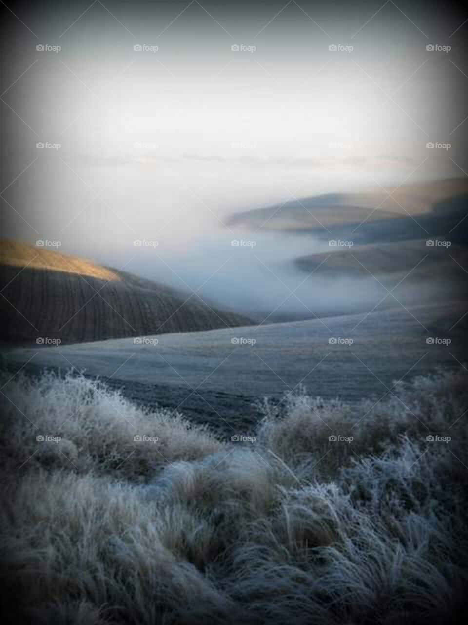landscape image of misty foggy frosty valley