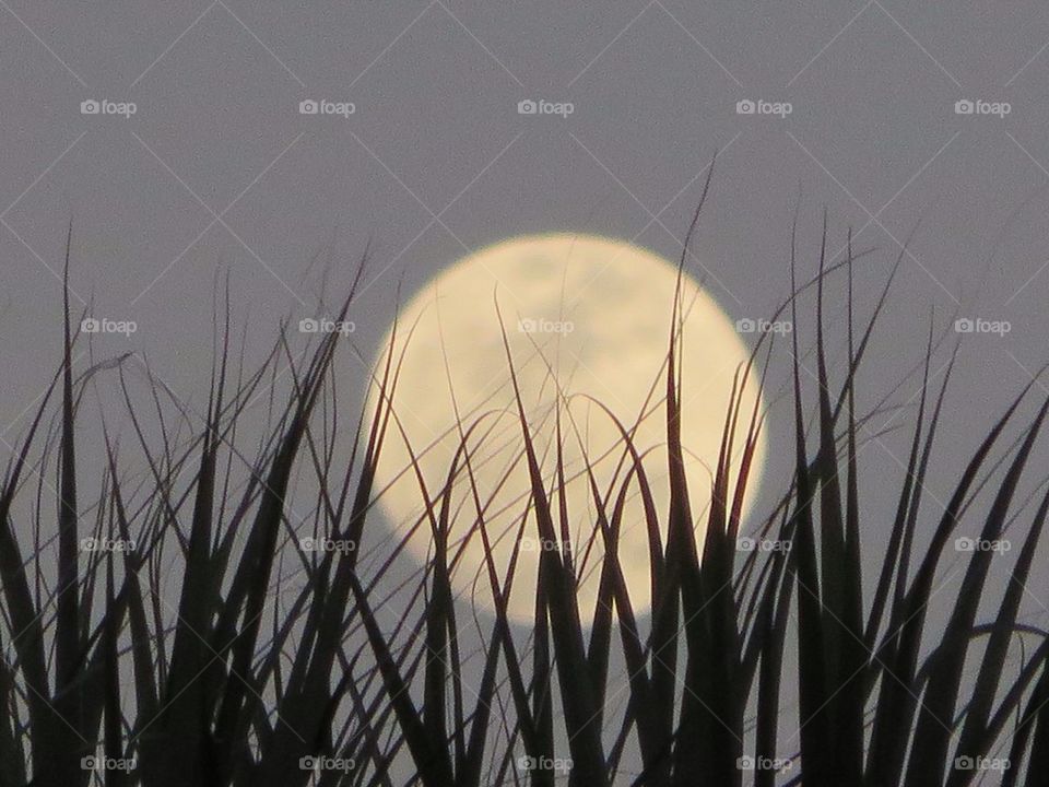 Full moon hiding