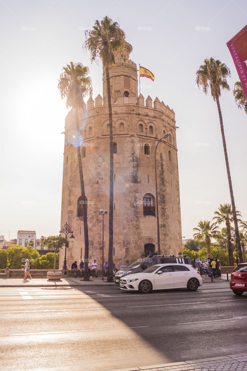 la torre del oro de Sevilla en una calurosa tarde de verano, desde la otra acera vemos la carretera, gente pasando por la acera y varias palmeras.