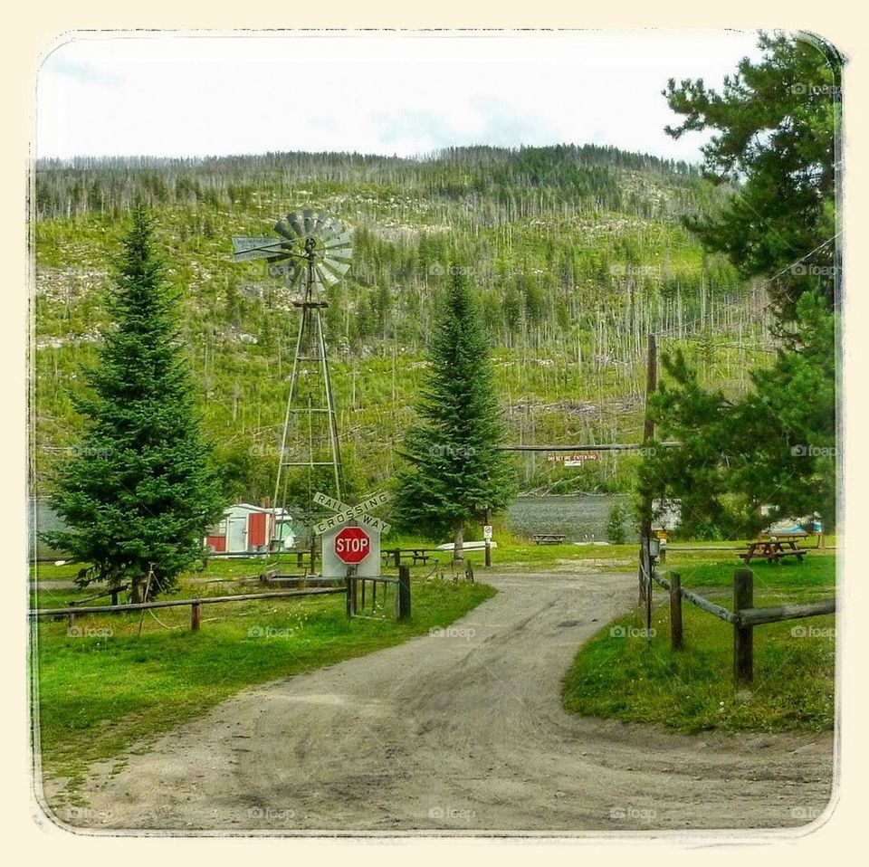 Road to Chute Lake