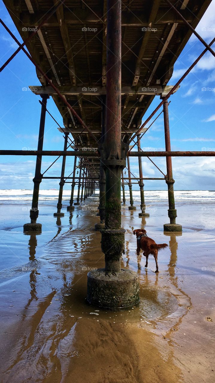 Spotting symmetry at the beach ... with a dog in toe 🐶😂