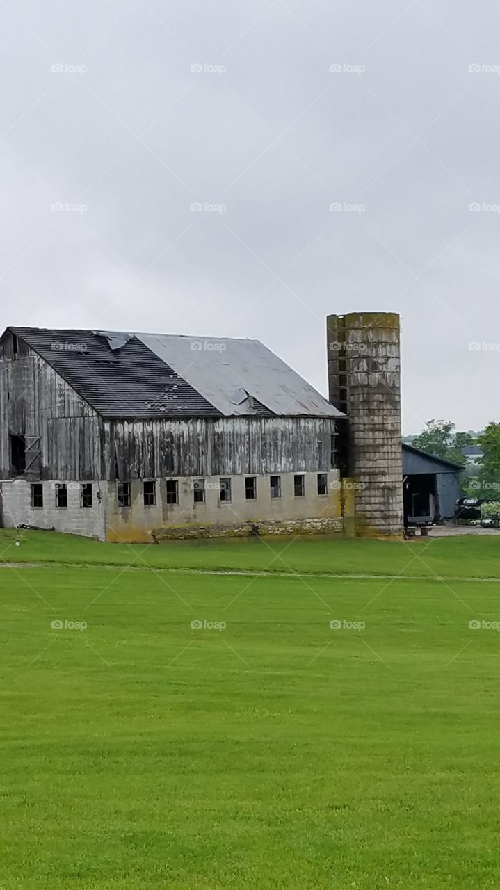 Rust barn with silo in a Kentucky pasture.