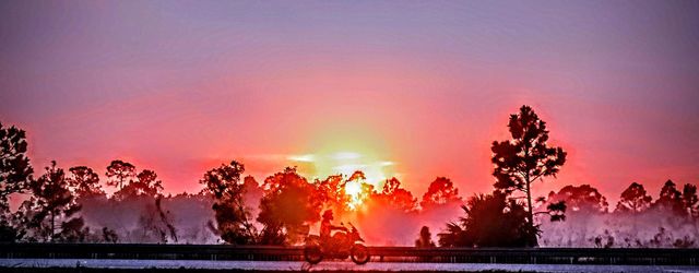 Morning Rider