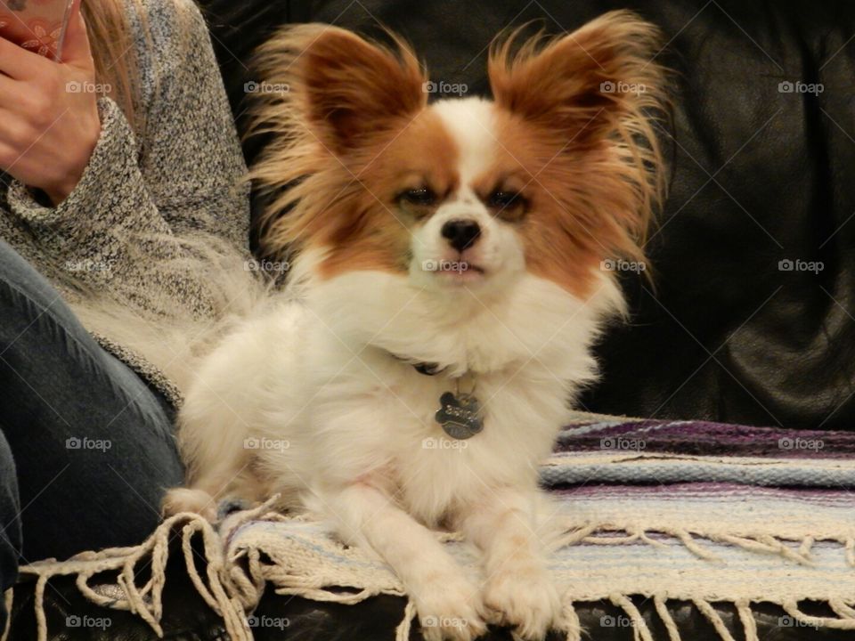 Loves to sit with his mother while making weird faces at the camera