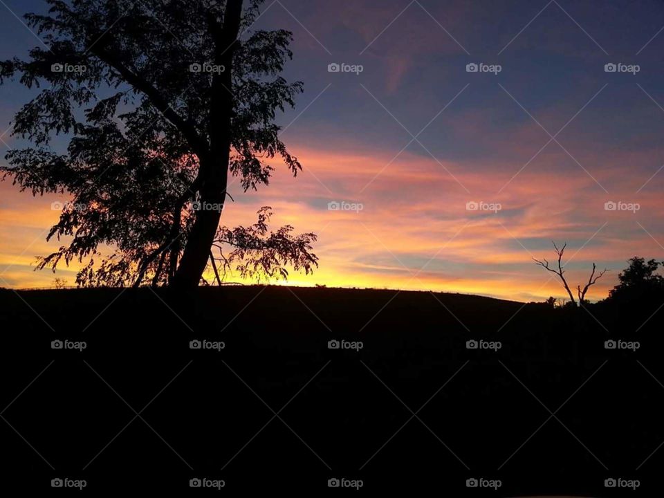 Sunset, Dawn, Silhouette, Landscape, Backlit