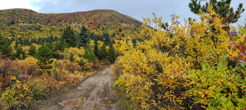 Fall colors cover the Alpine mountains