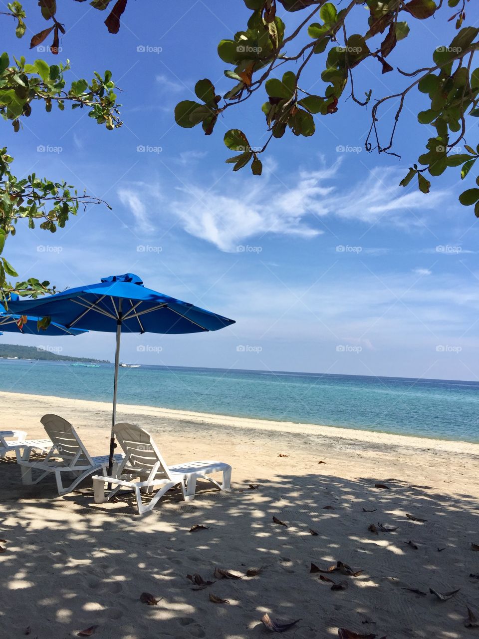 Benches facing the beach