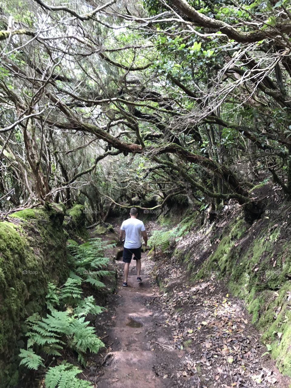 Discovering Tenerife 