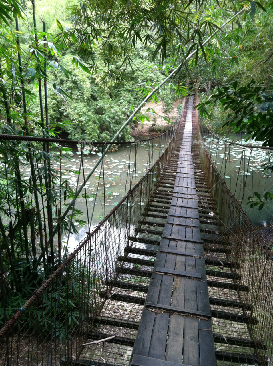 garden river bridge malaysia by spiffysavannah
