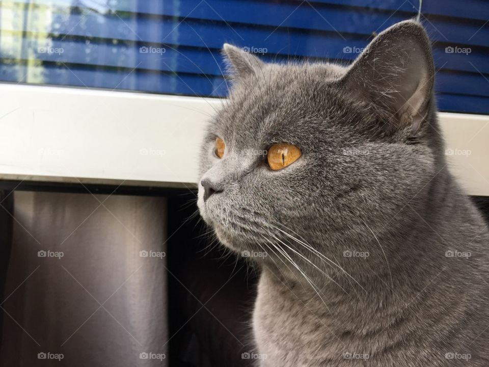 My boy enjoying the view