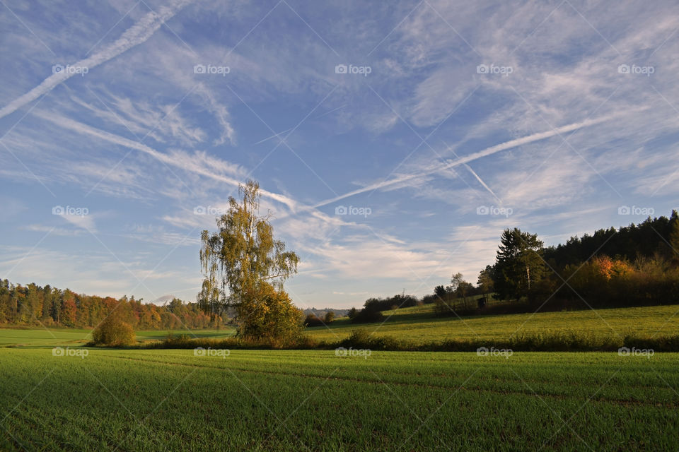 early autumn morning in the countryside