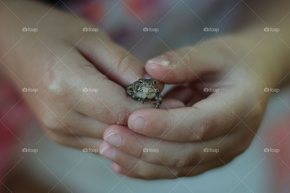 child holding a frog