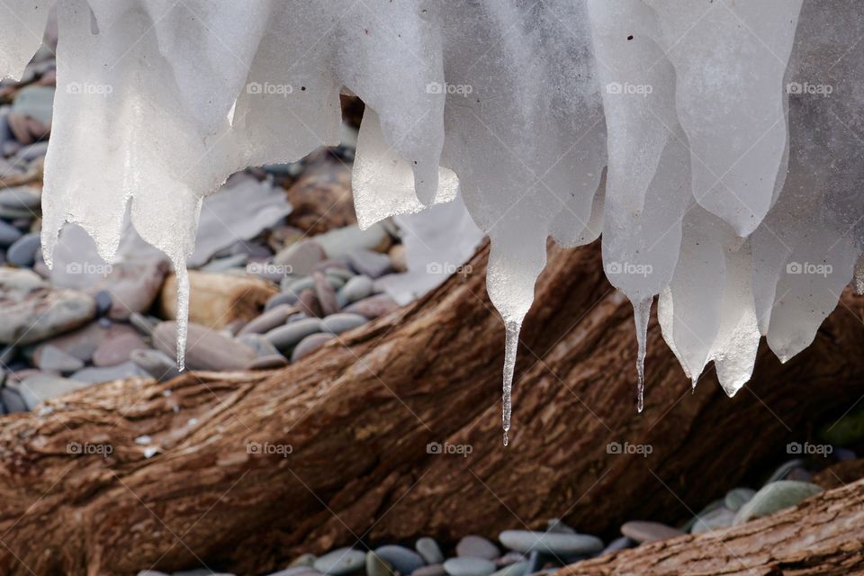 Close-up of melting icicles