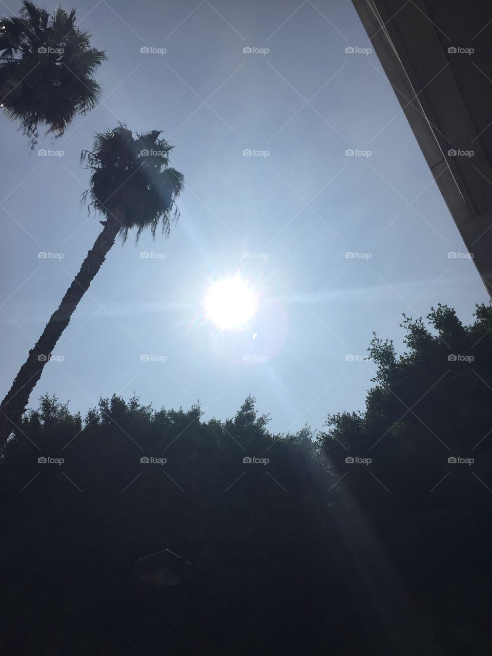 Sun Eclipsed in LA Land