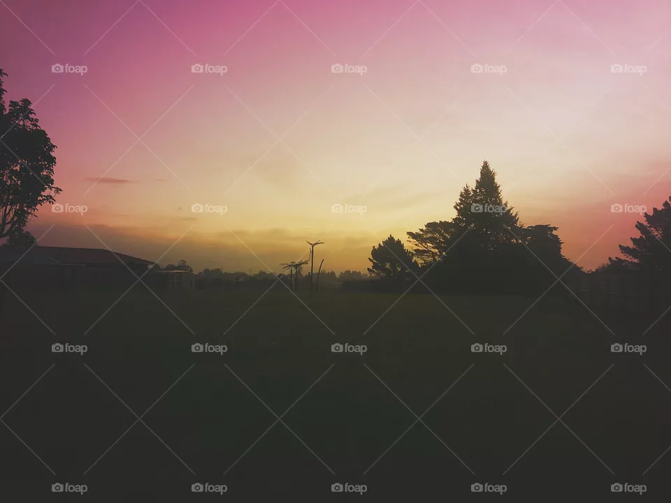 sunset
