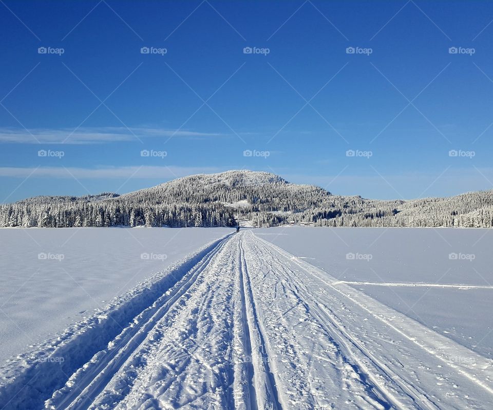 Horizon winter landscape