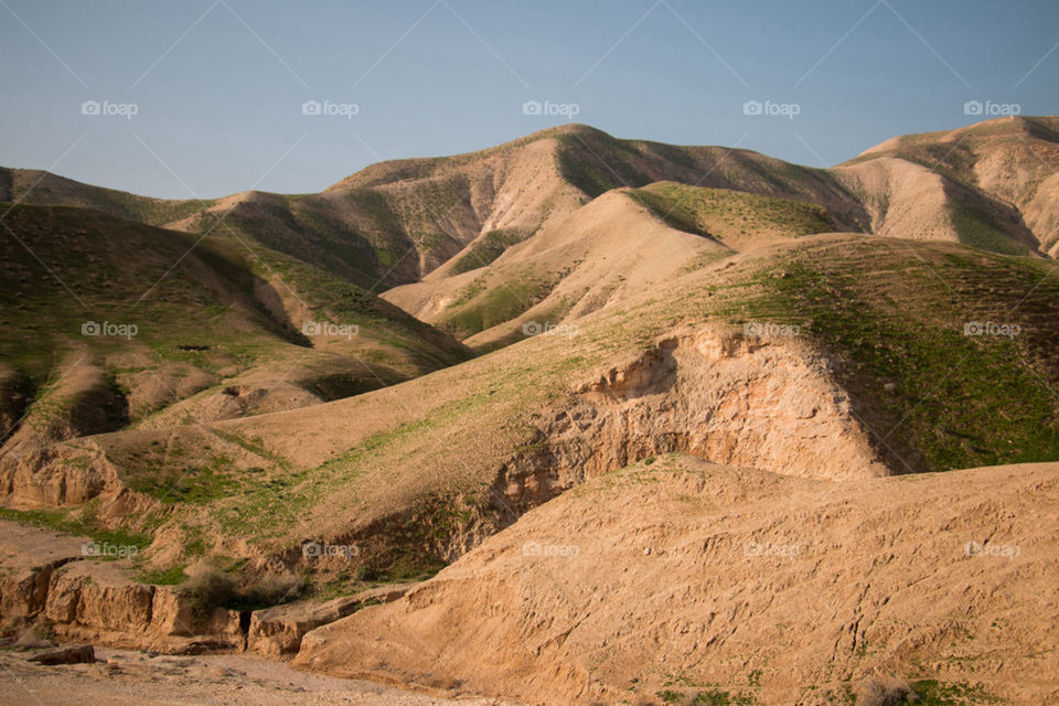 Israel desert