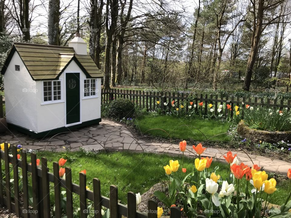 An assortment of tulips accompanied by a black and white mini house, that would surely give small children hours of fun and enjoyment.