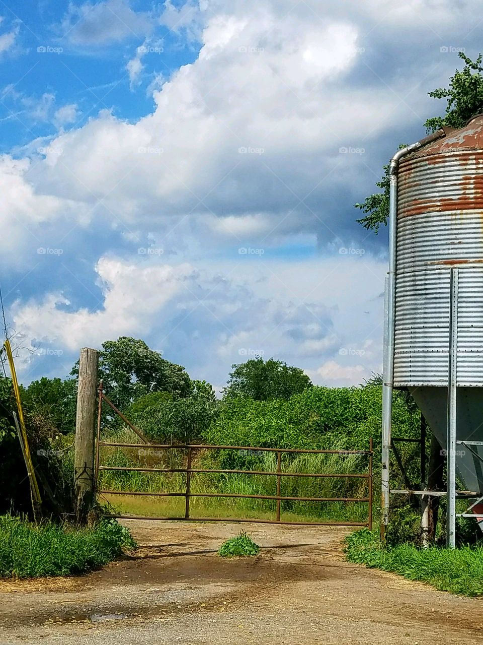Dirt road to back field & old silo. Farmland, blue sky.