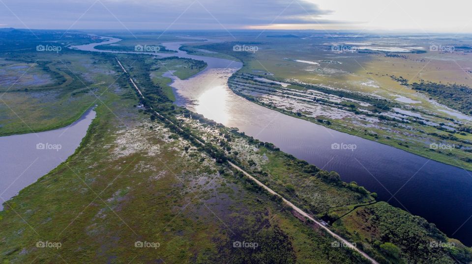 PANTANAL MS BRAZIL