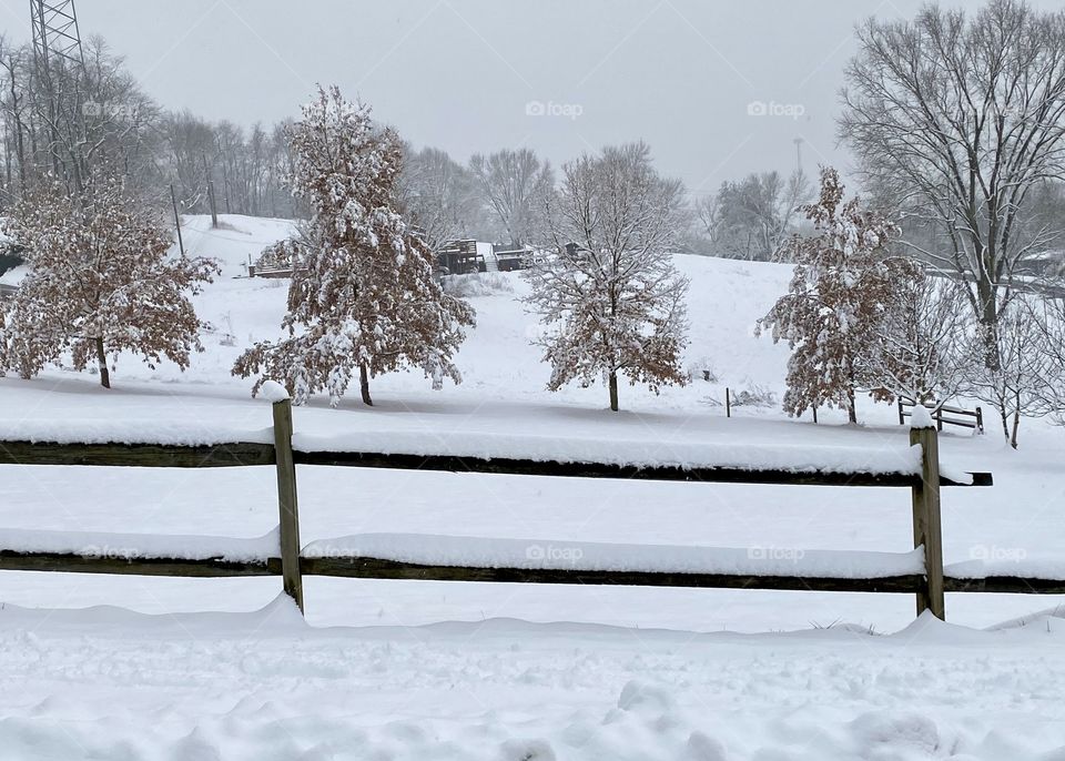 Winter scene, snow on a fence and trees, muted colors 