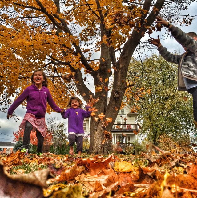 fall