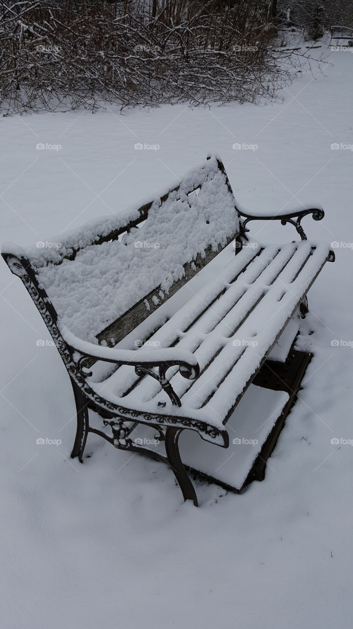 Snow-covered Bench