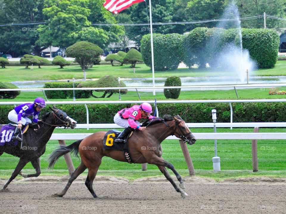 Here Comes Rosie. Here Comes Rosie running in the stretch at Saratoga with jockey Manuel Franco. 
Zazzle.com/Fleetphoto 