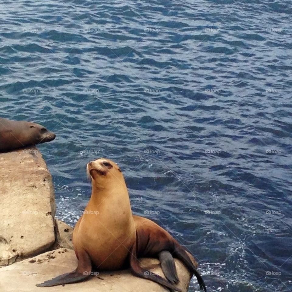 Wait let me strike a pose 