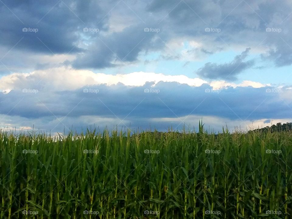 Driving the Back Roads and enjoying everything around us