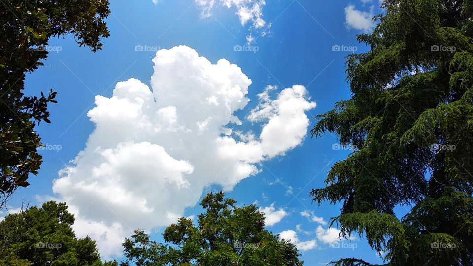 sky and clouds. love