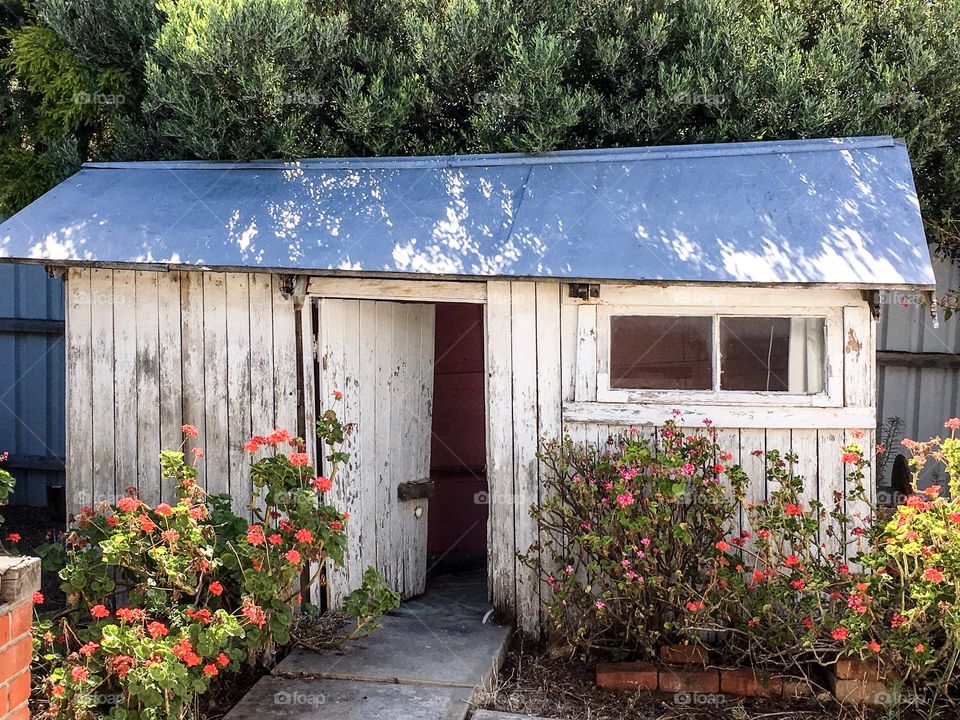 Shabby Chic Old white painted weathered wooden shed playhouse in garden