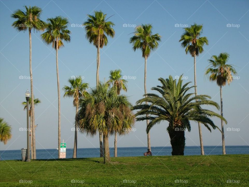 Lazy Day at Beach