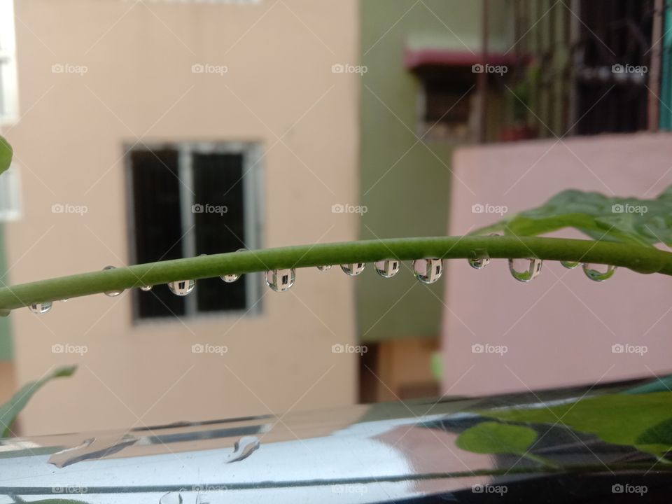 feel the rythm of the rain . and dance with it it will give you endless joy 💕 water drops reflection after rain rain drops